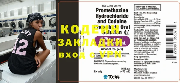 крисы Алзамай