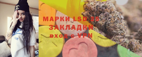 ECSTASY Горняк