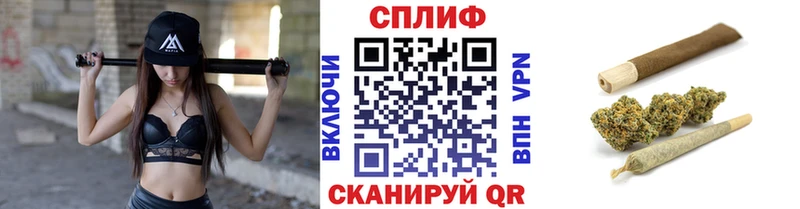 наркошоп  omg сайт  Бошки марихуана планчик  Назрань 